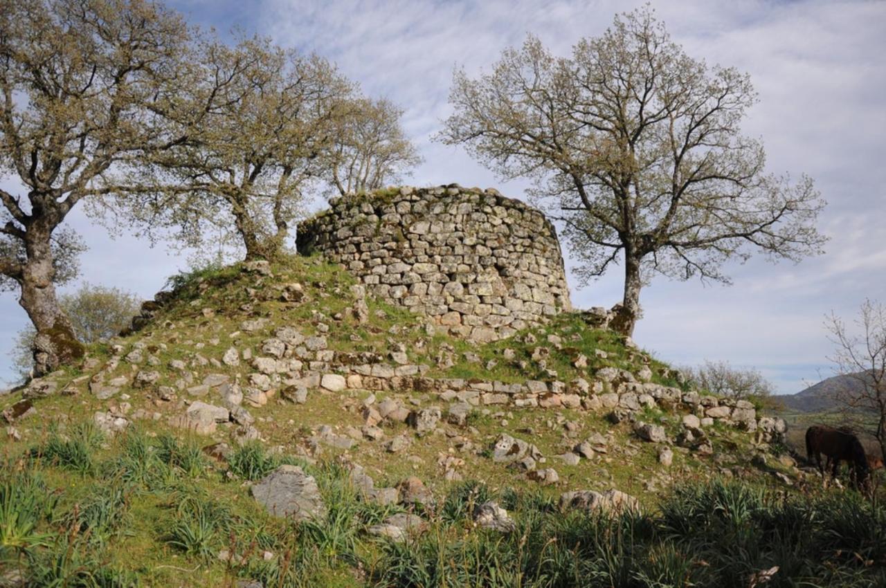 Апартаменты L Agrifoglio Di Rita Loddo Фонни Экстерьер фото